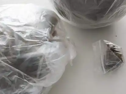 Feins&auml;uberlich in Kunststoffbeuteln verpackt: 300 Gramm Marihuana