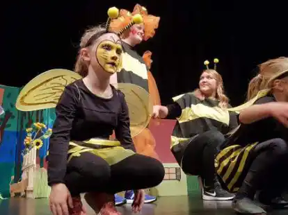 Bunte Mischung: T&auml;nzerinnen der Falkenburger Tanzschule Wessels standen abermals zusammen mit Menschen aus Wohngruppen der Lebenshilfe und der Norle auf der B&uuml;hne.