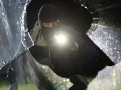 Einbrecher schlugen in Tweelb&auml;ke zu (Symbolbild)