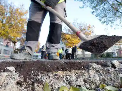 Die Anwohner der Olympiastra&szlig;e werden gebeten, sich an der Gemeinschaftsaktion zur Instandsetzung der Stra&szlig;enberme zu beteiligen.