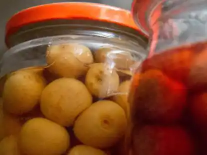 Um das Einmachen von Lebensmitteln geht es bei mehreren Workshops im Kreativlabor.