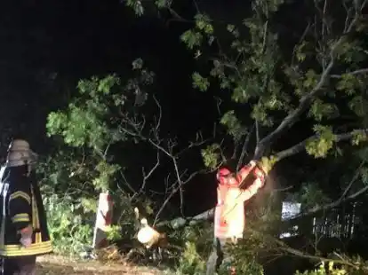Sturmtief &bdquo;Ignatz&ldquo; kippt Baum in Elsfleth um. Feuerwehrleute machen die Stra&szlig;e wieder frei.