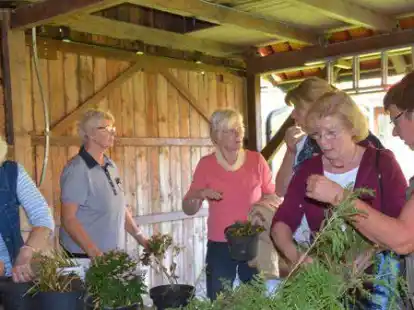 Auch Gartenbegeisterte werden im neuen Veranstaltungsprogramm der Landfrauen f&uuml;ndig.