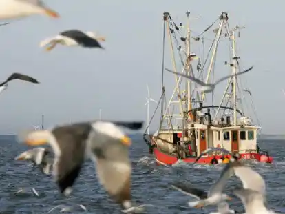Auch die Situation der Krabbenfischer wird auf dem Verbandstag