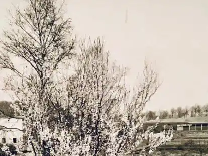 1960: Die Aufnahme zeigt das Gel&auml;nde am Sch&uuml;tzenweg im Dreieck zwischen Bahnlinie und in Bau befindlicher Umgehungsstra&szlig;e (rechter Bildrand mit der Bahnunterf&uuml;hrung). Das Foto machte R&uuml;diger Gehrmann aus einem Haus an der Hamelmannstra&szlig;e heraus.