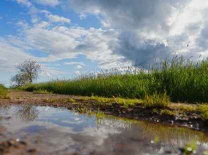 G&auml;stef&uuml;hrung durch die Moorlandschaft