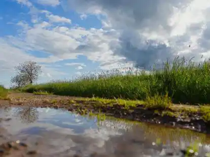 G&auml;stef&uuml;hrung durch die Moorlandschaft