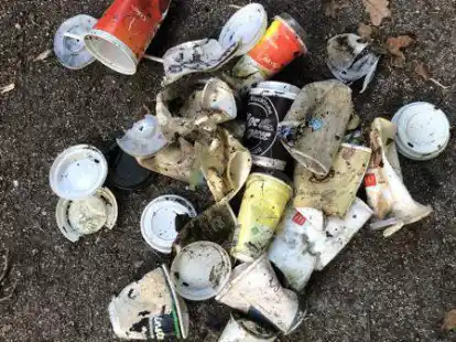 M&uuml;ll aus dem Wittmunder Wald