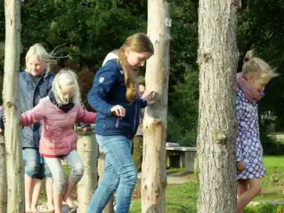 Mit allen Sinnen das Moor erleben: Das macht der Barfu&szlig;pfad m&ouml;glich. Er f&uuml;hrt unter anderem &uuml;ber einen Birkenstamm, Torf und Baumst&uuml;mpfe.