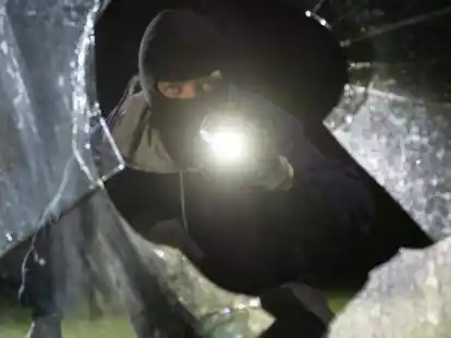 In den vergangenen Tagen wurde in mehrere H&auml;user in Oldenburg eingebrochen.