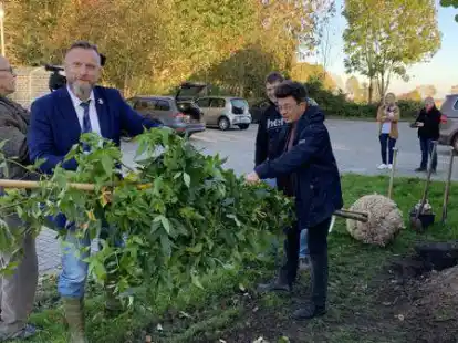 Die M&uuml;hlena-Amber steht nun an der Turnhalle Waddewarden.