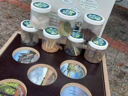 Durch interaktive Spiele und R&auml;tsel wird die Natur den Kindern n&auml;her gebracht.