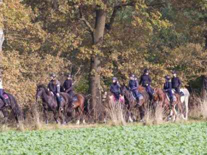 Sie genie&szlig;en das sonnige Herbstwetter: Die Reiterinnen vom RCS Harpstedt.