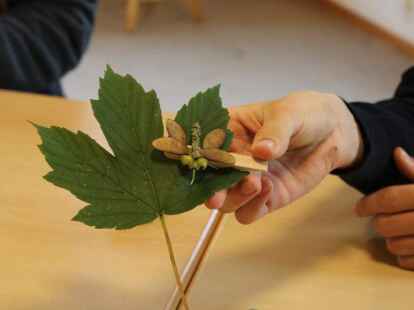 Besonders gut zur Geltung kommt der Schmetterling, wenn er an ein Ahornblatt geklemmt wird.