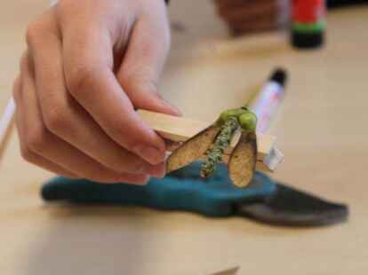 Die Fl&uuml;gel werden nebeneinander, seitw&auml;rts auf die W&auml;scheklammer geklebt. Zwischen die Fl&uuml;geln wird ein kleiner Stock als K&ouml;rper des Schmetterlings mit einem Klebestift befestigt.