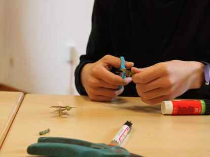 Sollten die Samenk&ouml;pfe noch zusammenh&auml;ngen, m&uuml;ssen sie mit einer Schere getrennt werden.