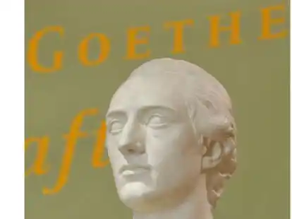 Gipsb&uuml;ste von Johann Wolfgang Goethe im Goethe-Nationalmuseum in Weimar