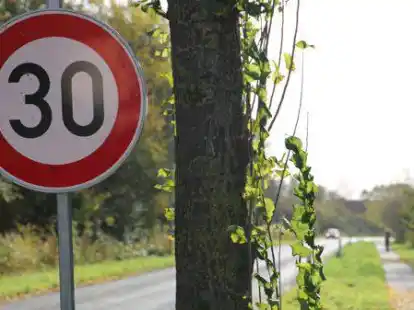 Schilder entlang der Stra&szlig;e zeigen den Verkehrsteilnehmern, dass sie ihr Tempo reduzieren m&uuml;ssen.