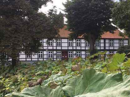 Der Amtshof in Harpstedt, in dem die Samtgemeindeverwaltung untergebracht ist: Was kann und soll hier k&uuml;nftig das Sozialamt noch leisten?