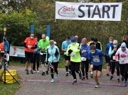Los geht&rsquo;s: Insgesamt gingen &uuml;ber 300 L&auml;ufer, Nordic Walker und Speed Walker auf die Strecke rund um das Zwischenahner Meer.