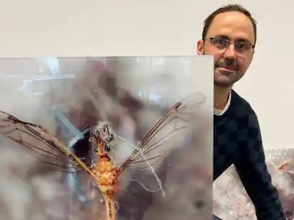 Der Fotograf Stephan Walzl