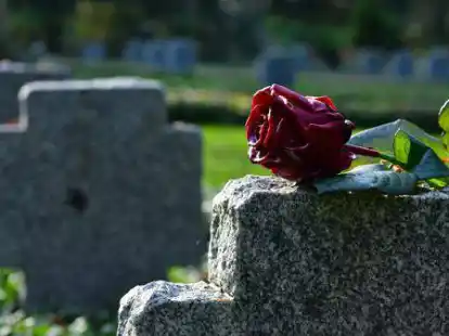 Eine Rose liegt auf einem Grabstein auf einer Kriegsgr&auml;berst&auml;tte. Am kommenden Wochenende wird an zahlreichen Orten den Toten gedacht.
