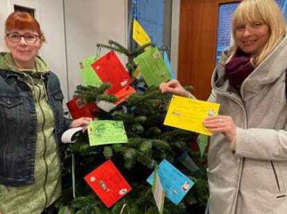 Start der Wunschbaumaktion in Rastede: Anne Ahlers-Bolting (links) und Nadine Daries h&auml;ngen die Karten auf.
