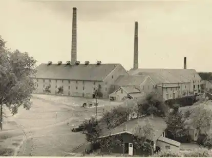 Die Ziegelei von Otto Brinkmann in Scharrel in den 1950er Jahren.