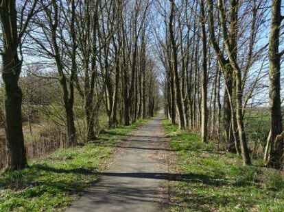 Der Ostfriesland Wanderweg soll f&uuml;r Radler weiter ausgebaut werden.