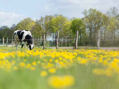 Der Landkreis Oldenburg will sich zur &Ouml;komodellregion entwickeln.