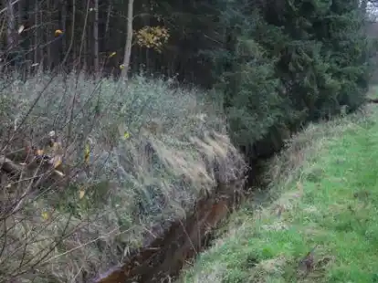 Durch verunreinigtes Wasser belastet: Die Otterb&auml;ke in Gro&szlig; Garnholt.