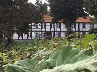 Der Amtshof Harpstedt