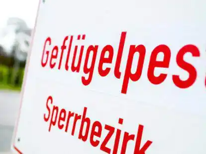 Von der Gefl&uuml;gelpest stark betroffen ist derzeit der Landkreis Cloppenburg.