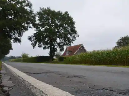 Soll ab diesem Montag saniert werden: Die Kreisstra&szlig;e 349 von der Oldenburger Stra&szlig;e in Richtung Torsholt.