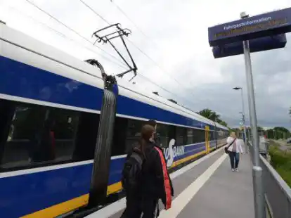 Viel zu selten halten Z&uuml;ge in Wechloy, kritisiert die Stadtgruppe des Nabu.