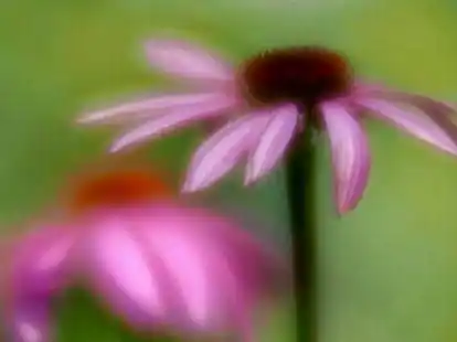 Die Fotografien von Birte Walecki zeigen ein Zusammenspiel von Sch&auml;rfe und Unsch&auml;rfe.