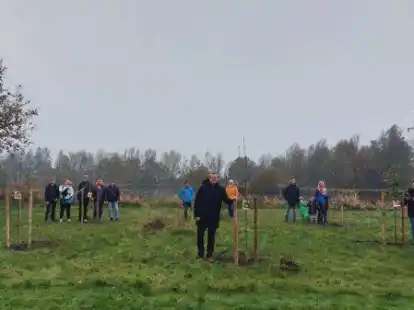 In Westoverledingen gibt es die ersten Baumpaten.