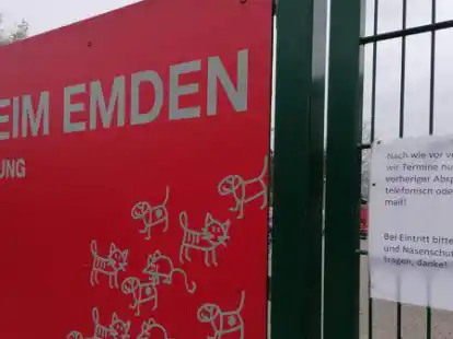 Kam trotz erheblicher Einbu&szlig;en im Corona-Jahr mit einem blauen Auge davon: das Emder Tierheim.