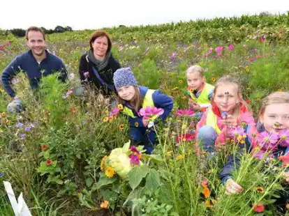 Auf seinem Acker am B&uuml;rsteler Fuhrenkamp setzt Onno Osterloh (hier mit Mitarbeiterin Antje Wittrock und M&auml;dchen von der Grundschule Lange Stra&szlig;e) ein Insektenschutz-Projekt um. Das &bdquo;Bienengl&uuml;ck&ldquo; soll auch 2022 wieder erbl&uuml;hen.