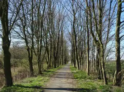 Westoverledingen tut was f&uuml;r den Radverkehr.
