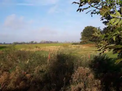 Streitpunkt Dreiecksfl&auml;che Wybelsum: Hier m&ouml;chte ein Investor aus Cloppenburg Wohnen f&uuml;r &Auml;ltere und Familien realisieren.