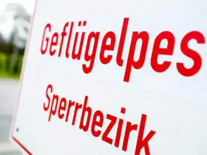 Ein Schild mit der Aufschrift &laquo;Gefl&uuml;gelpest Sperrbezirk&raquo; steht an einer Stra&szlig;e im Landkreis Cloppenburg. Nach dem ersten Ausbruch der Gefl&uuml;gelpest bei Wildv&ouml;geln dauerte es einige Wochen, bis das Virus auch in Nutztierst&auml;llen in Niedersachsen nachgewiesen wurde. +++ dpa-Bildfunk +++