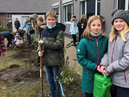Flei&szlig;ig: In kleinen Gr&uuml;ppchen pflanzten die Sch&uuml;lerinnen und Sch&uuml;ler verschiedene Str&auml;ucher.