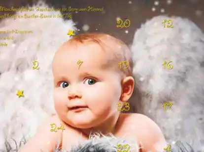 Gewinnnummern werden ab Mittwoch ver&ouml;ffentlicht: Der Ammerl&auml;nder Lions-Adventskalender.