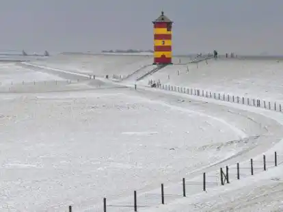 Schneebedeckt ist der Deich: Sowas sieht man inzwischen selten in Ostfriesland.