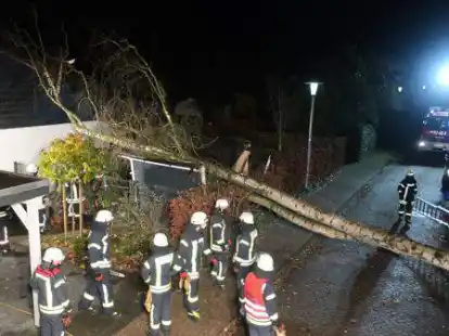 An der Stra&szlig;e Am Grevenholt in Tungeln krachte eine gro&szlig;e Birke auf ein Wohnhaus und einen Schuppen.