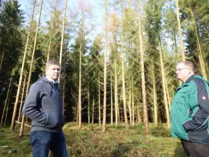 Sorgen sich um den Wald, gerade vor dem Hintergrund der j&uuml;ngsten Sch&auml;den durch Trockenheit und Borkenk&auml;fer: Ekhard Thye, Vorsitzender der Forstbetriebsgemeinschaft Ammerland und Waldbesitzer Frank Borgmann (von links) in einem Waldst&uuml;ck in Gristede.