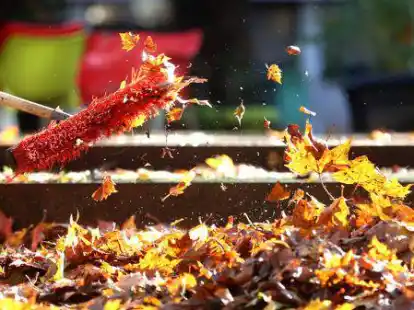 Ein Laubsammeltag findet an diesem Sonnabend wieder in der Gemeinde Hude statt.