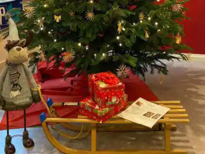 Die P&auml;ckchen sind f&uuml;r die Kinder und Jugendlichen im Ankunftszentrum   Blankenburg  und im Frauen- und Kinderschutzhaus bestimmt.