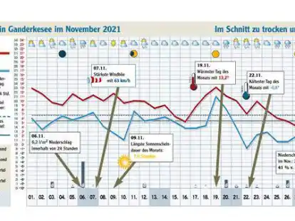 Kein Wetter zum Wohlf&uuml;hlen: Vor allem im zweiten Novemberdrittel war es nebelig und tr&uuml;b.